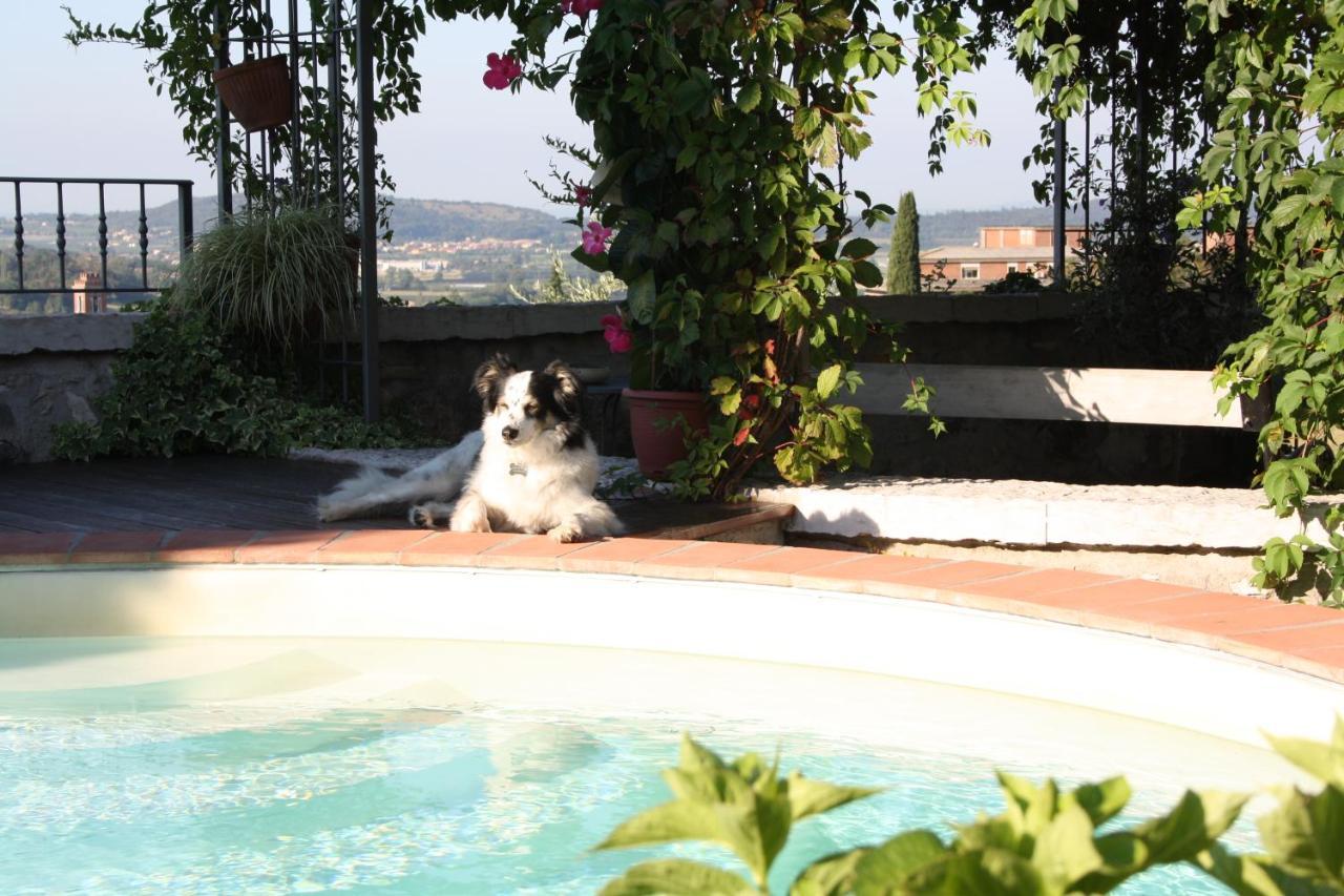 B&B Poggio Caiar Каприно-Веронезе Экстерьер фото